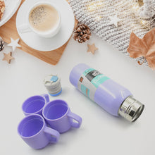 Stainless steel vacuum flask set with handle and cover