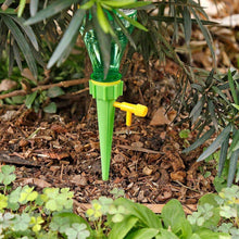 Drip Irrigation Kit For Home Garden Self-watering Spikes For Plants (5 Pcs)