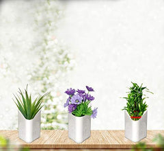 Plastic Vertical Hanging Planter Pot Multicolour