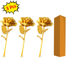 Golden Rose Used In All Kinds Of Places Like Household Offices Cafes Etc. For Decorating And To Look Good Purposes And All.