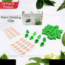 Plant Climbing Wall Fixture Clip Self-adhesive Hook Vines Traction Invisible Stand Green Leaf Plant Clip Garden Wall Clip Plant Support Binding Clip Plants For Indoor Outdoor Decoration (30 Pcs Set)