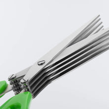 Multifunction Vegetable Stainless Steel Herbs Scissor With 5 Blades