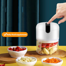 Wireless USB Rechargeable Mini Electric Garlic Machine / Chopper (250Ml)