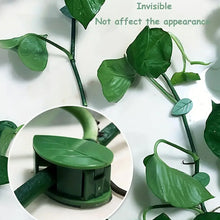 Plant Climbing Wall Fixture Clip Self-adhesive Hook Vines Traction Invisible Stand Green Leaf Plant Clip Garden Wall Clip Plant Support Binding Clip Plants For Indoor Outdoor Decoration (30 Pcs Set)